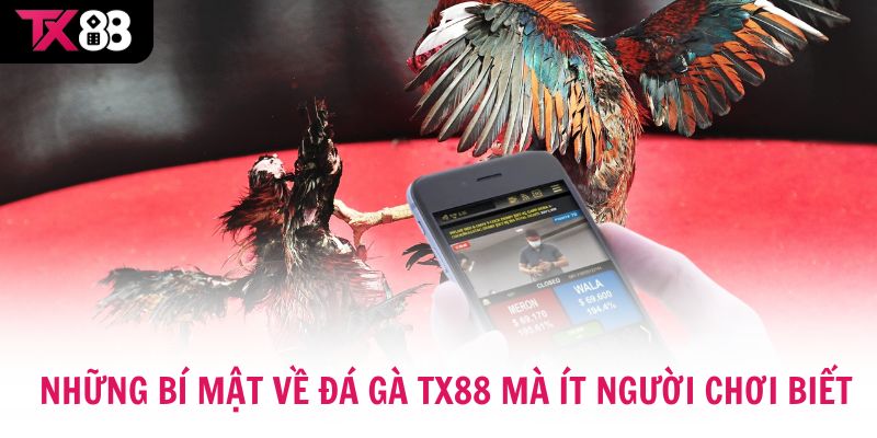 Những bí mật về Đá gà TX88 mà ít người chơi biết